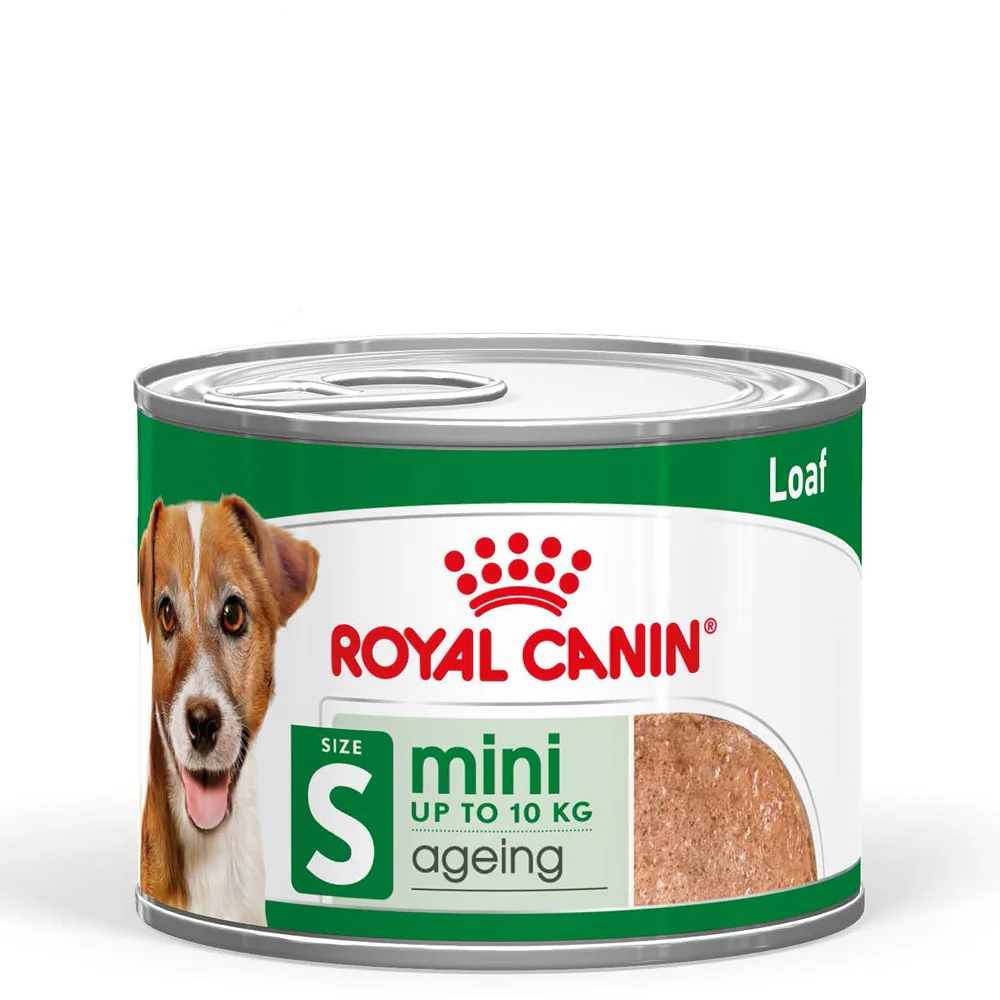 Royal Canin Mini Ageing Loaf Wet Dog Food - Image 2