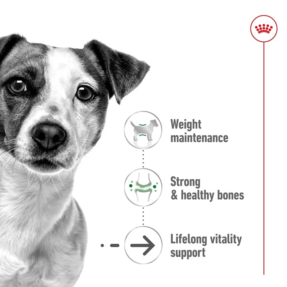 Royal Canin Mini Ageing Loaf Wet Dog Food - Image 8