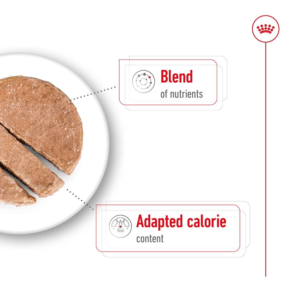 Royal Canin Mini Ageing Loaf Wet Dog Food - Image 9