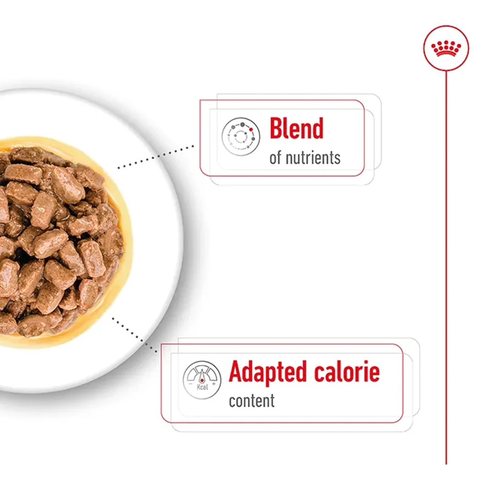 Royal Canin Mini Ageing Senior Wet Dog Food - Image 11