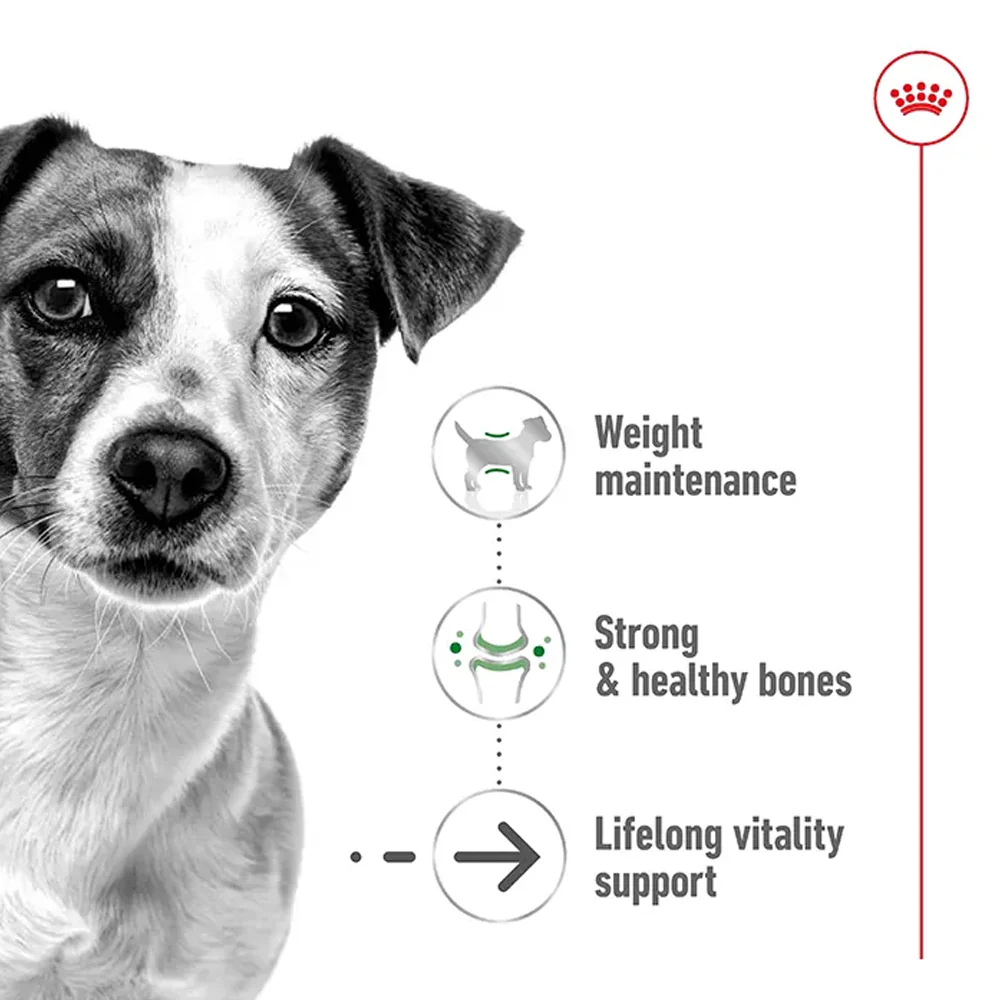 Royal Canin Mini Ageing Senior Wet Dog Food - Image 19