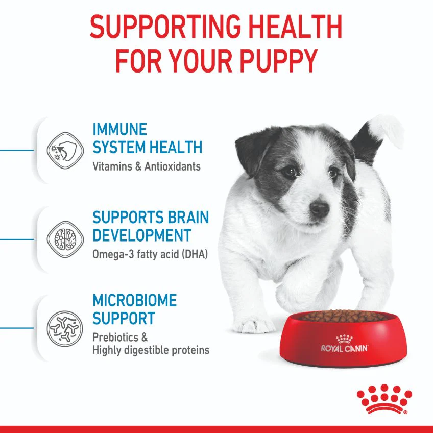 Royal Canin Mini Breed Puppy Dry Dog Food - Image 15