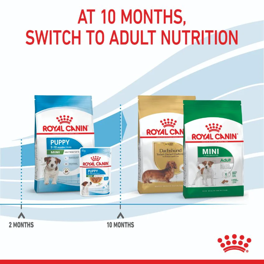 Royal Canin Mini Breed Puppy Dry Dog Food - Image 21