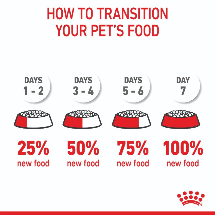 Royal Canin Mini Breed Puppy Dry Dog Food - Image 29