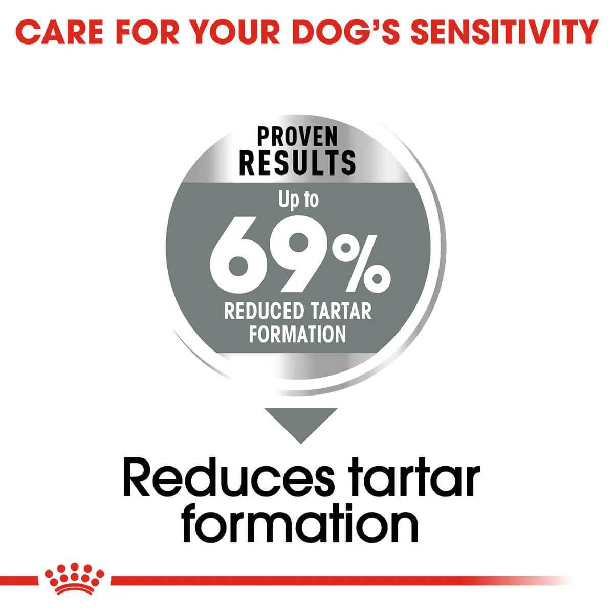 Royal Canin Mini Dental Care Adult Dry Dog Food 3kg - Image 4