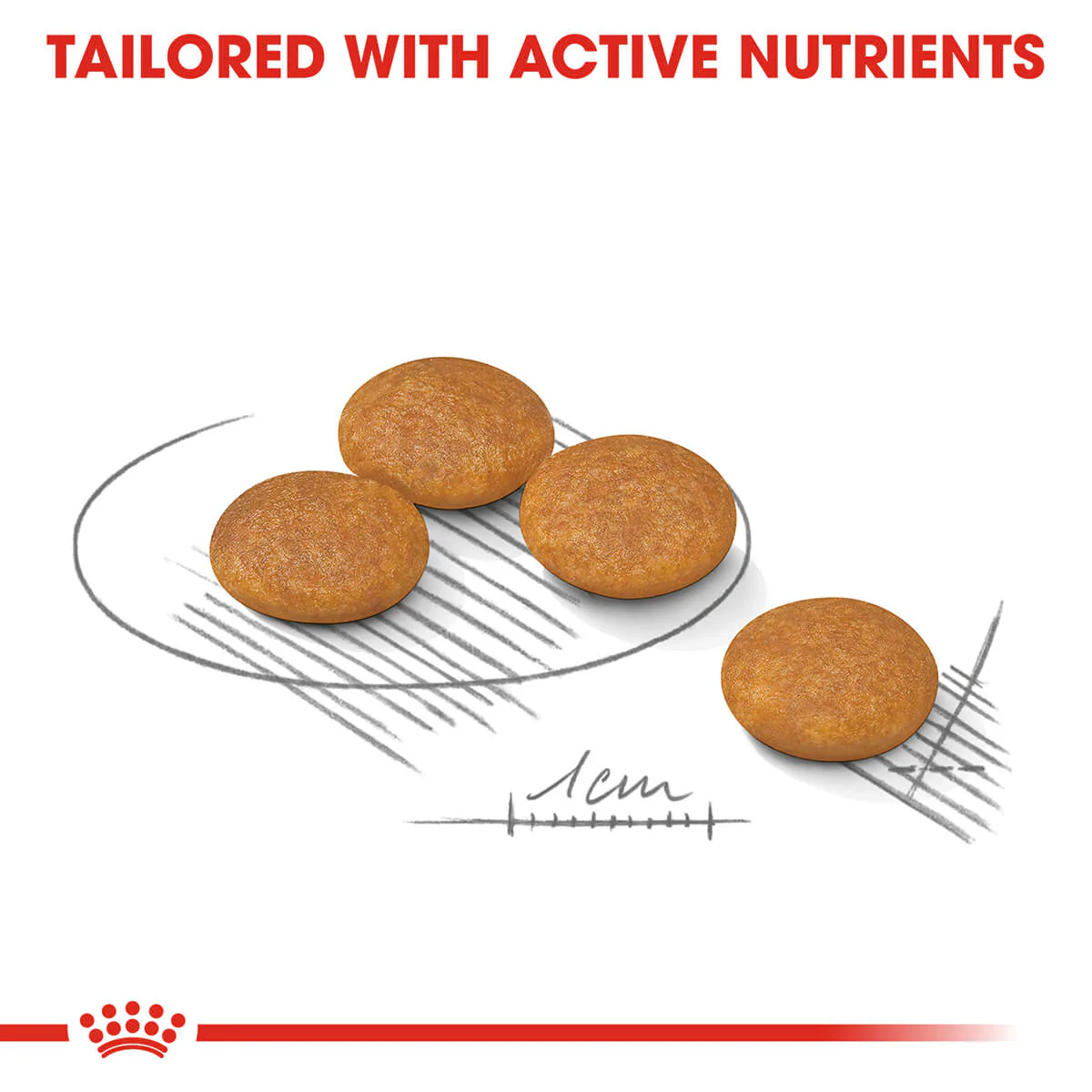 Royal Canin Mini Breed Dermacomfort Adult Dry Dog Food - Image 10