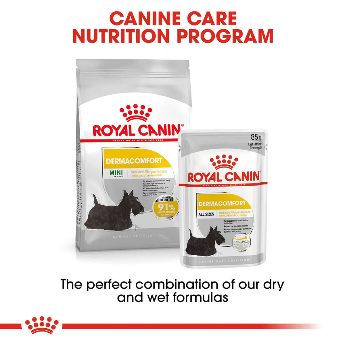 Royal Canin Mini Breed Dermacomfort Adult Dry Dog Food - Image 15