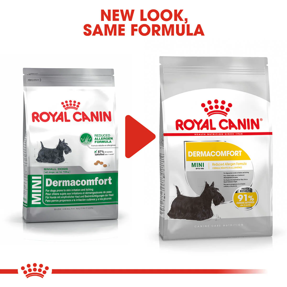 Royal Canin Mini Breed Dermacomfort Adult Dry Dog Food - Image 2