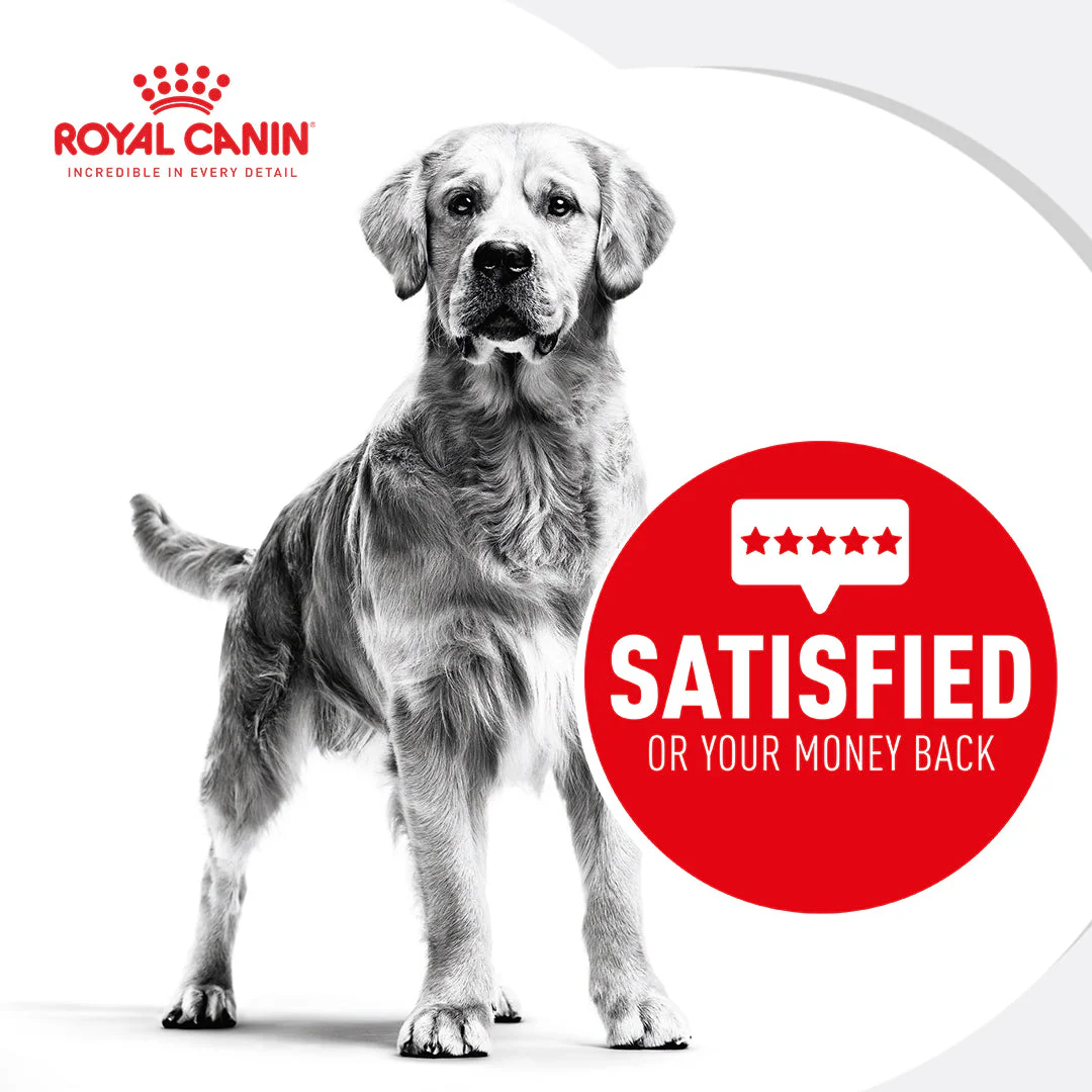 Royal Canin Mini Relax Care Adult Dry Dog Food 3kg - Image 5