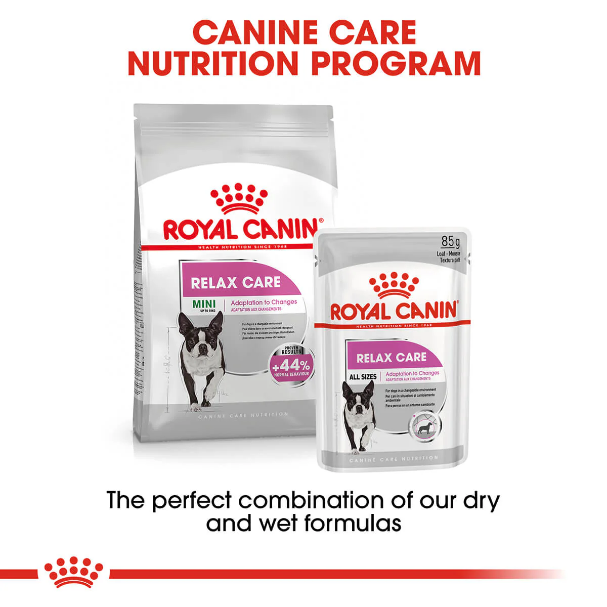 Royal Canin Mini Relax Care Adult Dry Dog Food 3kg - Image 7