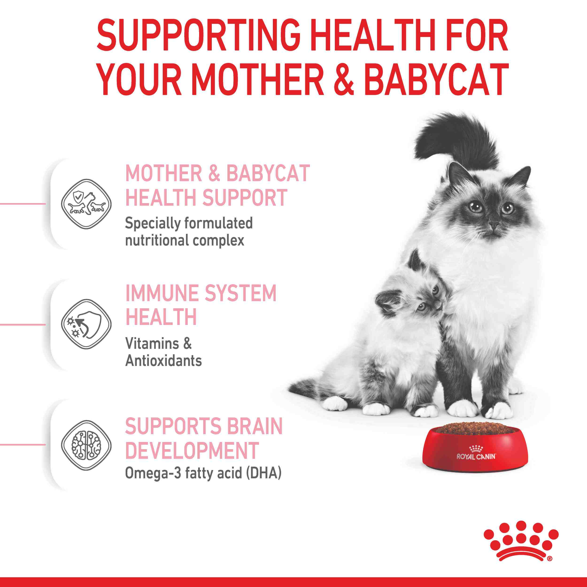 Royal Canin Mother And Baby Cat Kitten Dry Cat Food - Image 11