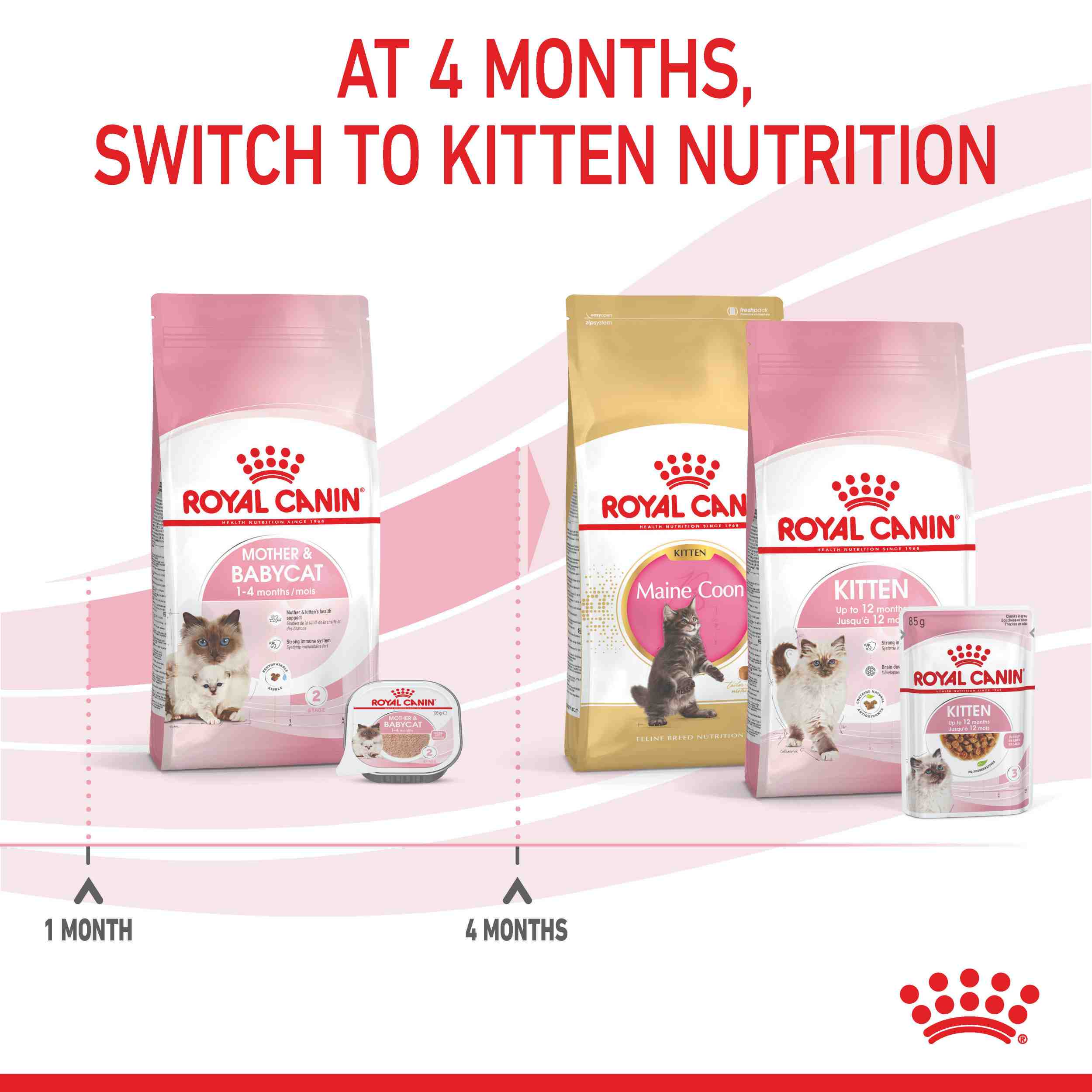 Royal Canin Mother And Baby Cat Kitten Dry Cat Food - Image 12