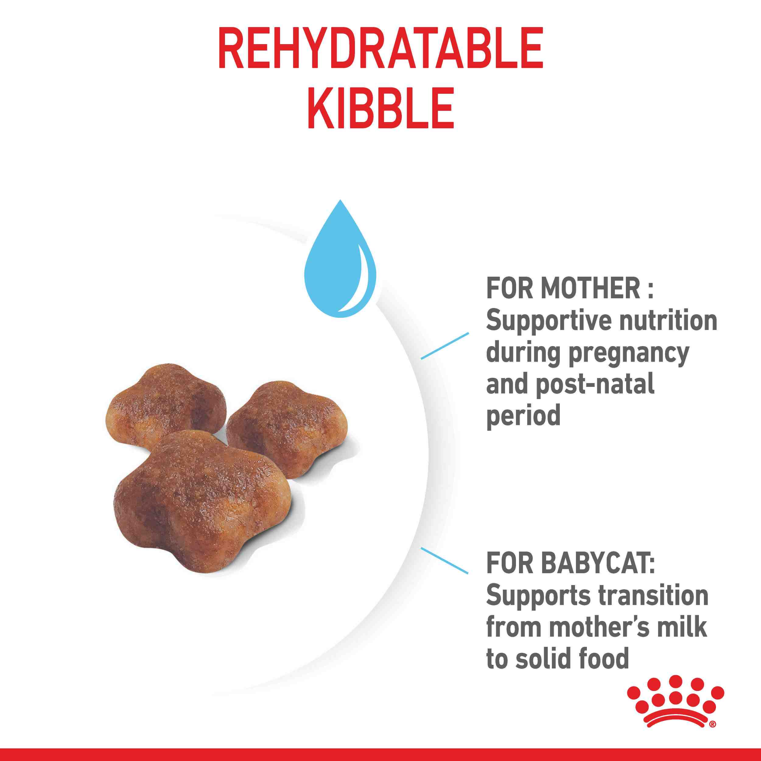 Royal Canin Mother And Baby Cat Kitten Dry Cat Food - Image 2