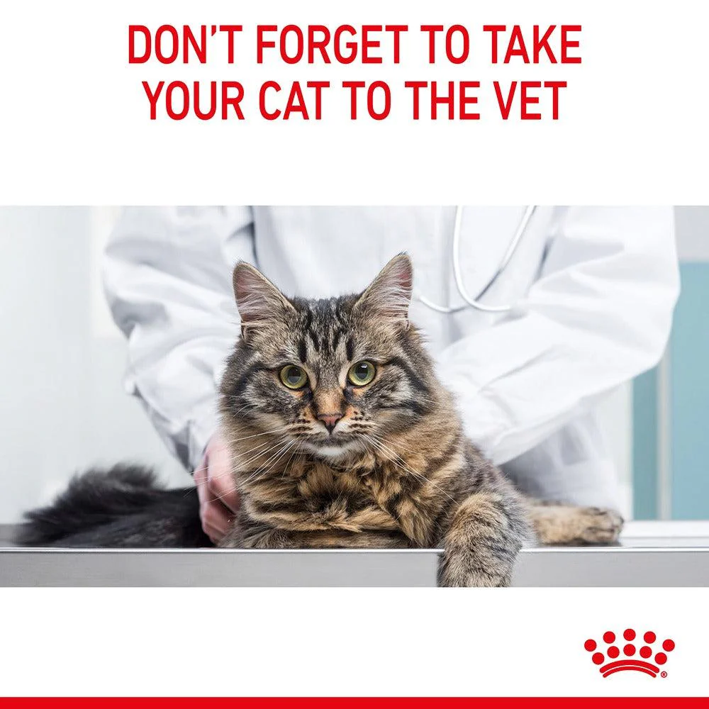 Royal Canin Dental Care Adult Dry Cat Food - Image 40
