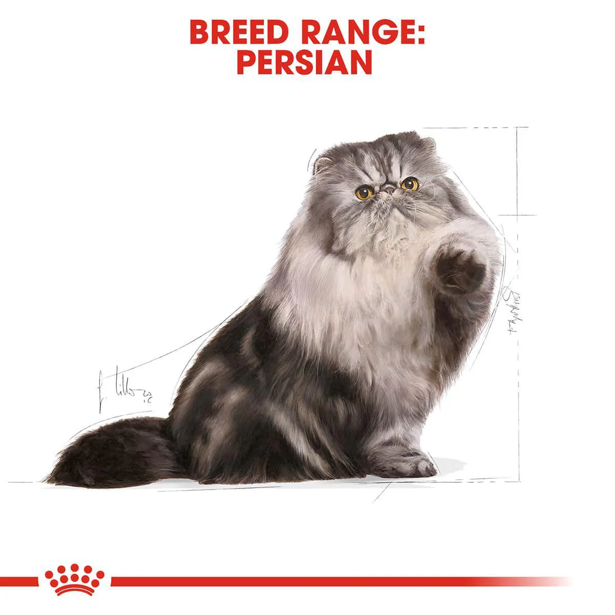 Royal Canin Persian Adult Dry Cat Food - Image 4