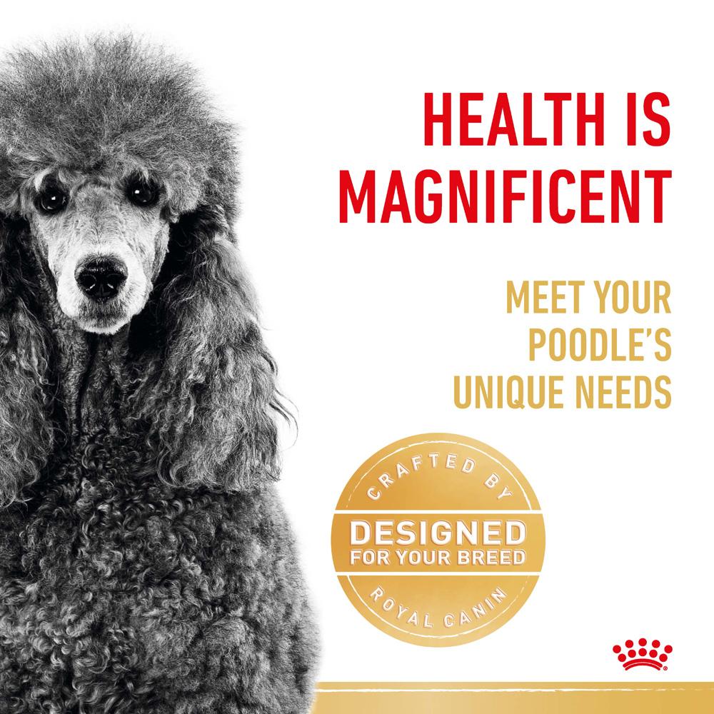 Royal Canin Poodle Adult Dry Dog Food - Image 5