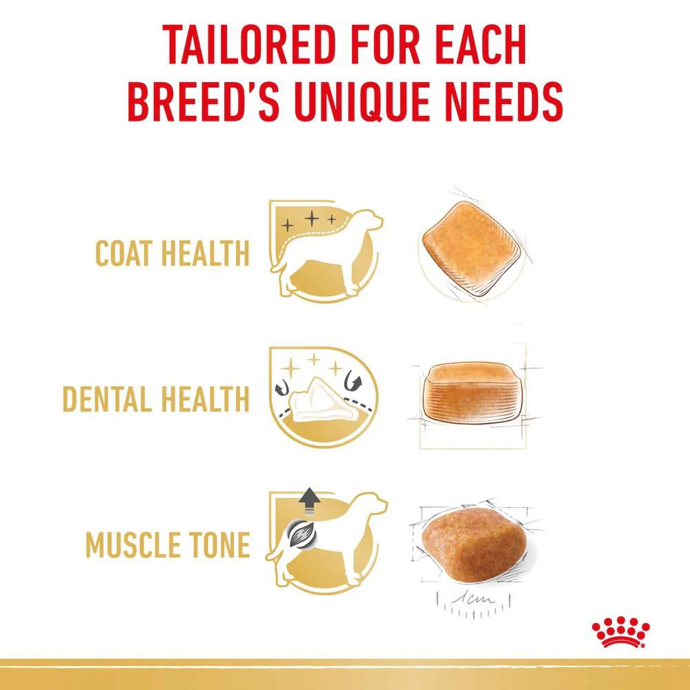Royal Canin Poodle Adult Dry Dog Food - Image 7