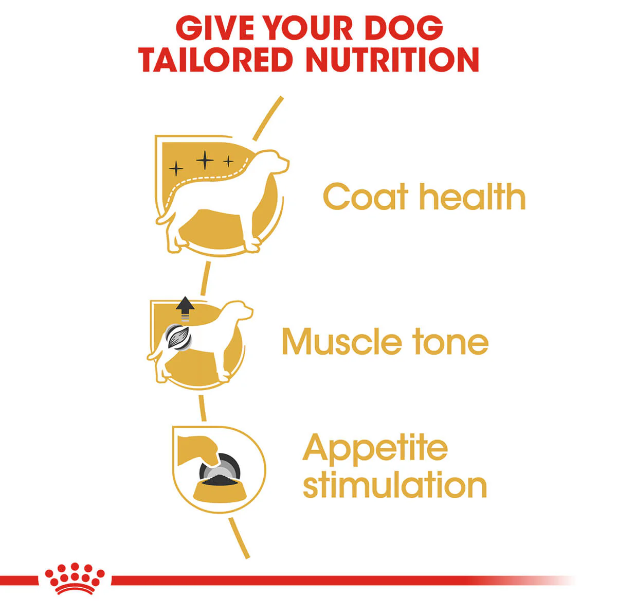 Royal Canin Poodle Adult Wet Dog Food - Image 5