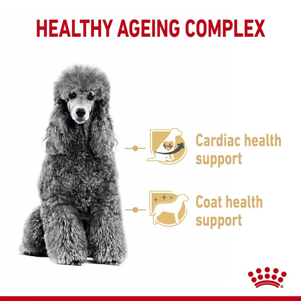 Royal Canin Poodle Breed Adult 8+ Dry Dog Food - Image 3