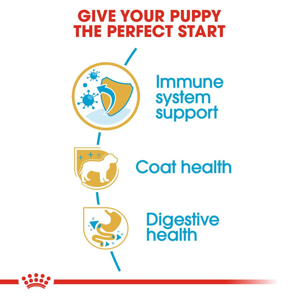 Royal Canin Poodle Puppy Dry Dog Food 3kg - Image 2
