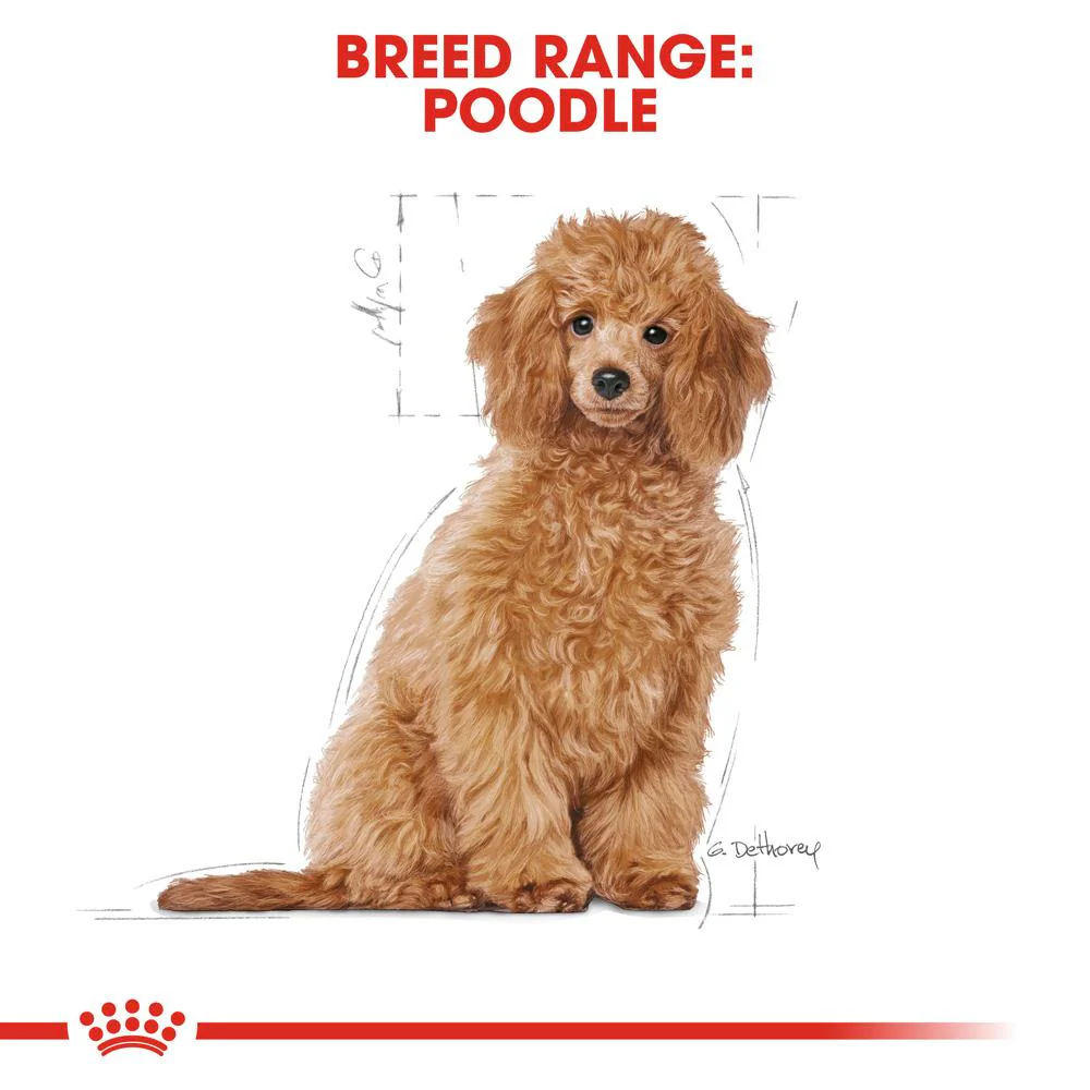 Royal Canin Poodle Puppy Dry Dog Food 3kg - Image 4