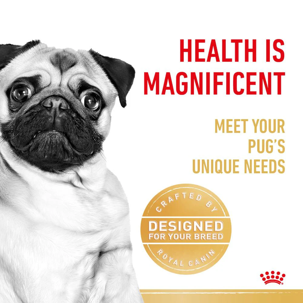 Royal Canin Pug Adult Dry Dog Food - Image 5