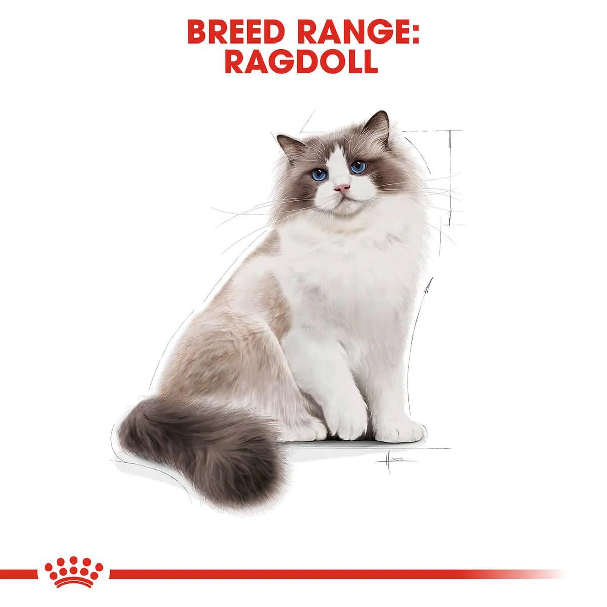 Royal Canin Ragdoll Adult Dry Cat Food - Image 6