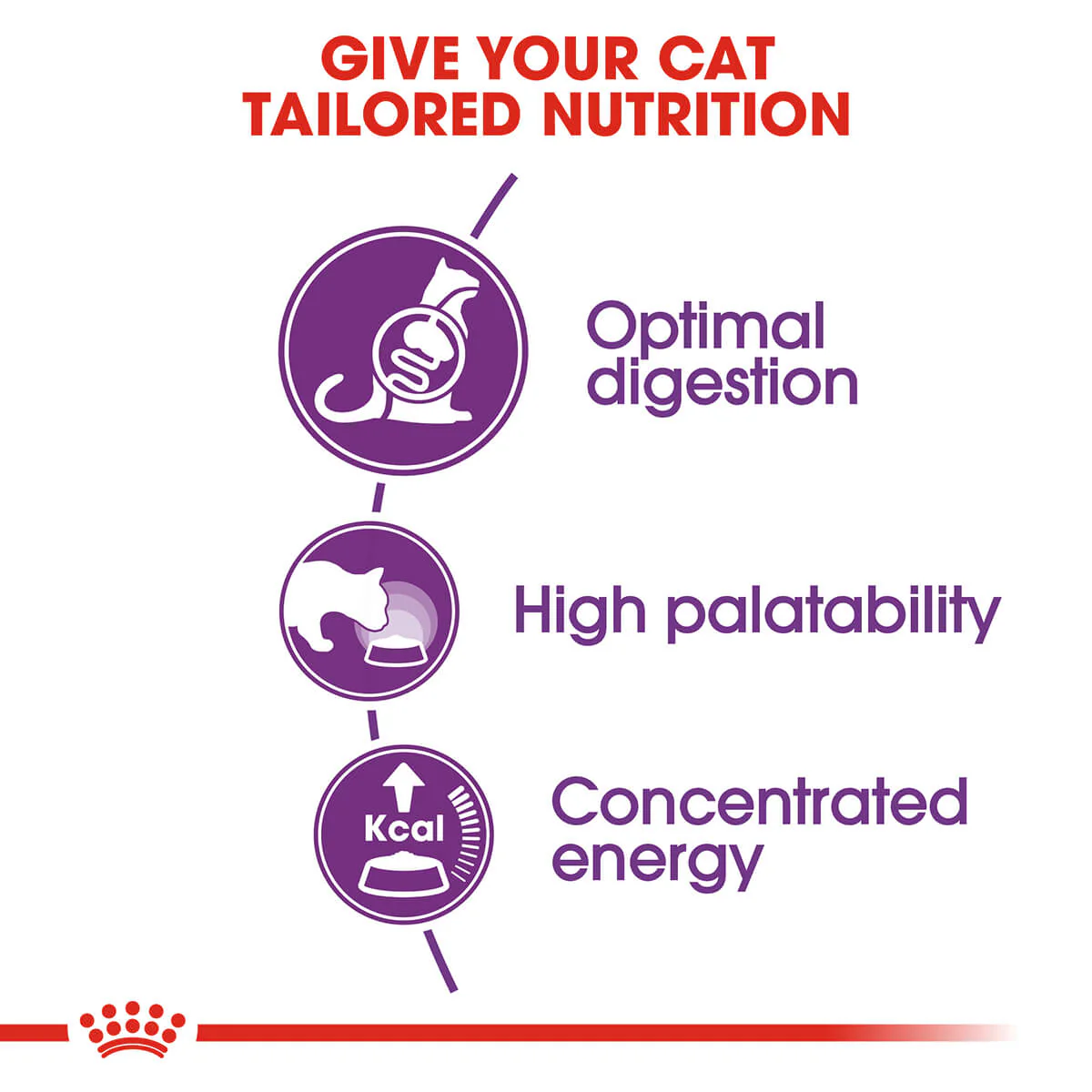 Royal Canin Sensible Digestion Adult Dry Cat Food - Image 3