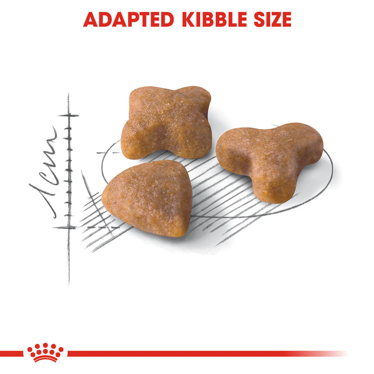 Royal Canin Sensible Digestion Adult Dry Cat Food - Image 4
