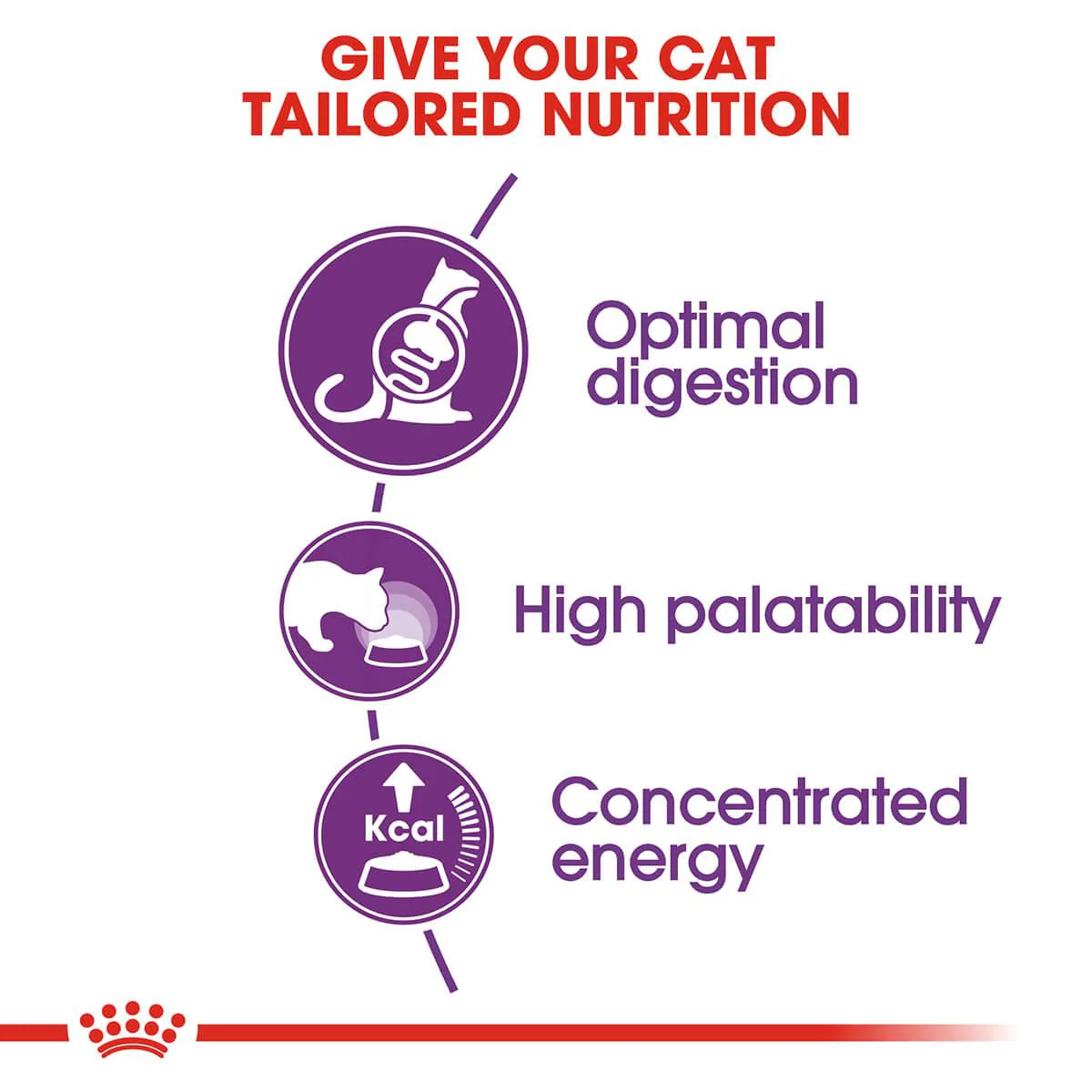 Royal Canin Sensible Digestion Adult Dry Cat Food - Image 9