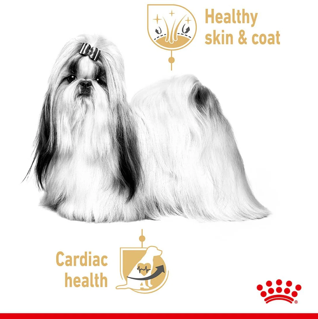 Royal Canin Shih Tzu Loaf Wet Dog Food - Image 4