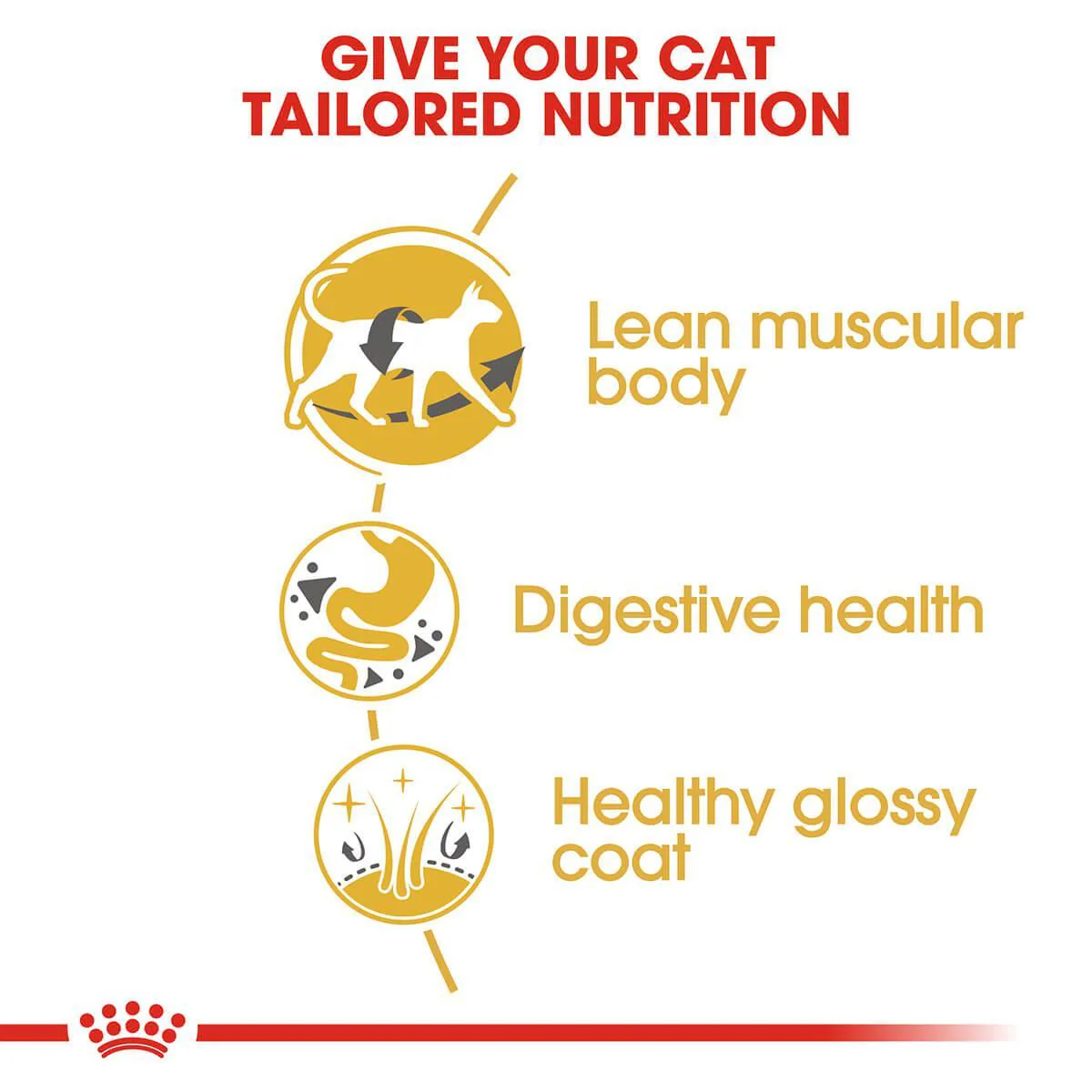 Royal Canin Siamese Adult Dry Cat Food - Image 6