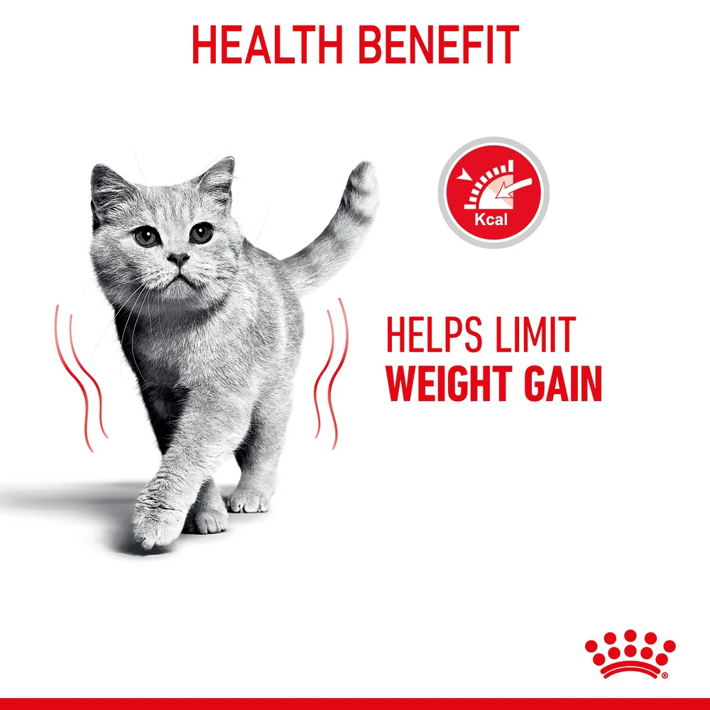 Royal Canin Light Weight Care Jelly Adult Wet Cat Food - Image 6