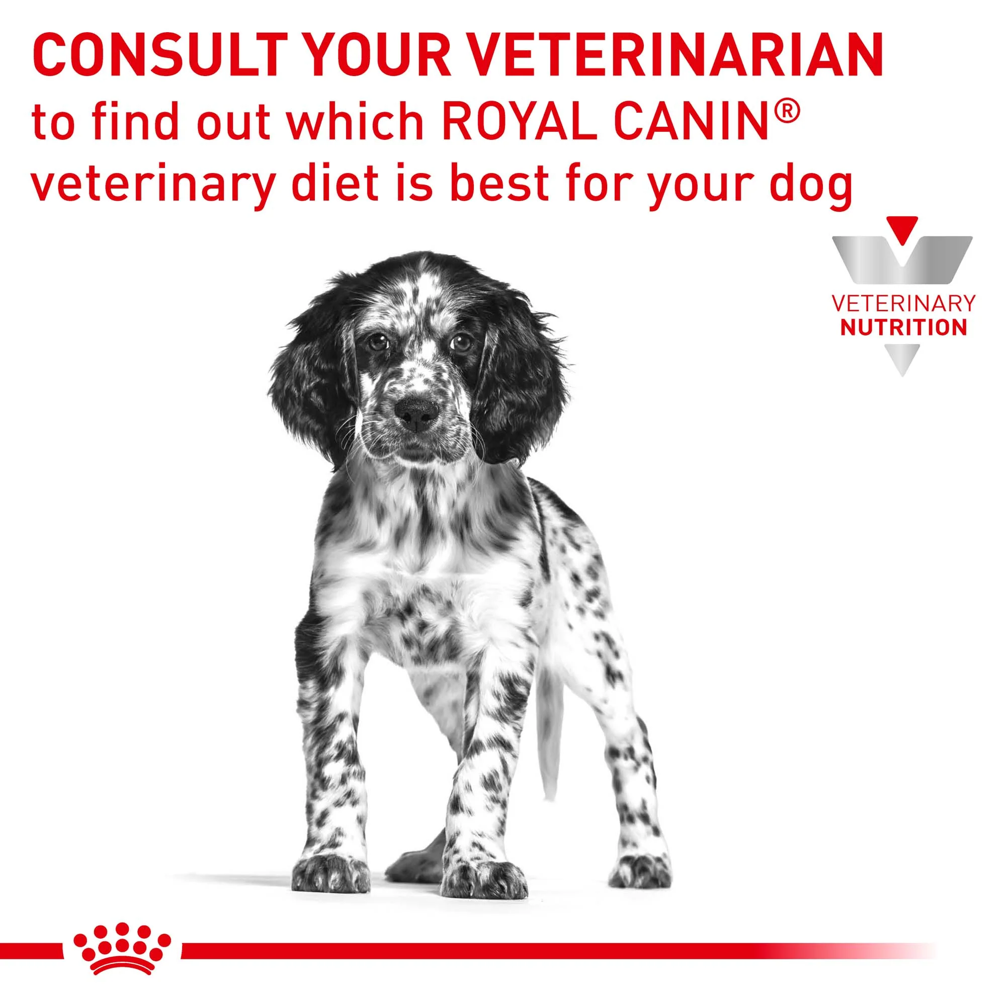 Royal Canin Veterinary Puppy Gastrointestinal Wet Dog Food - Image 9