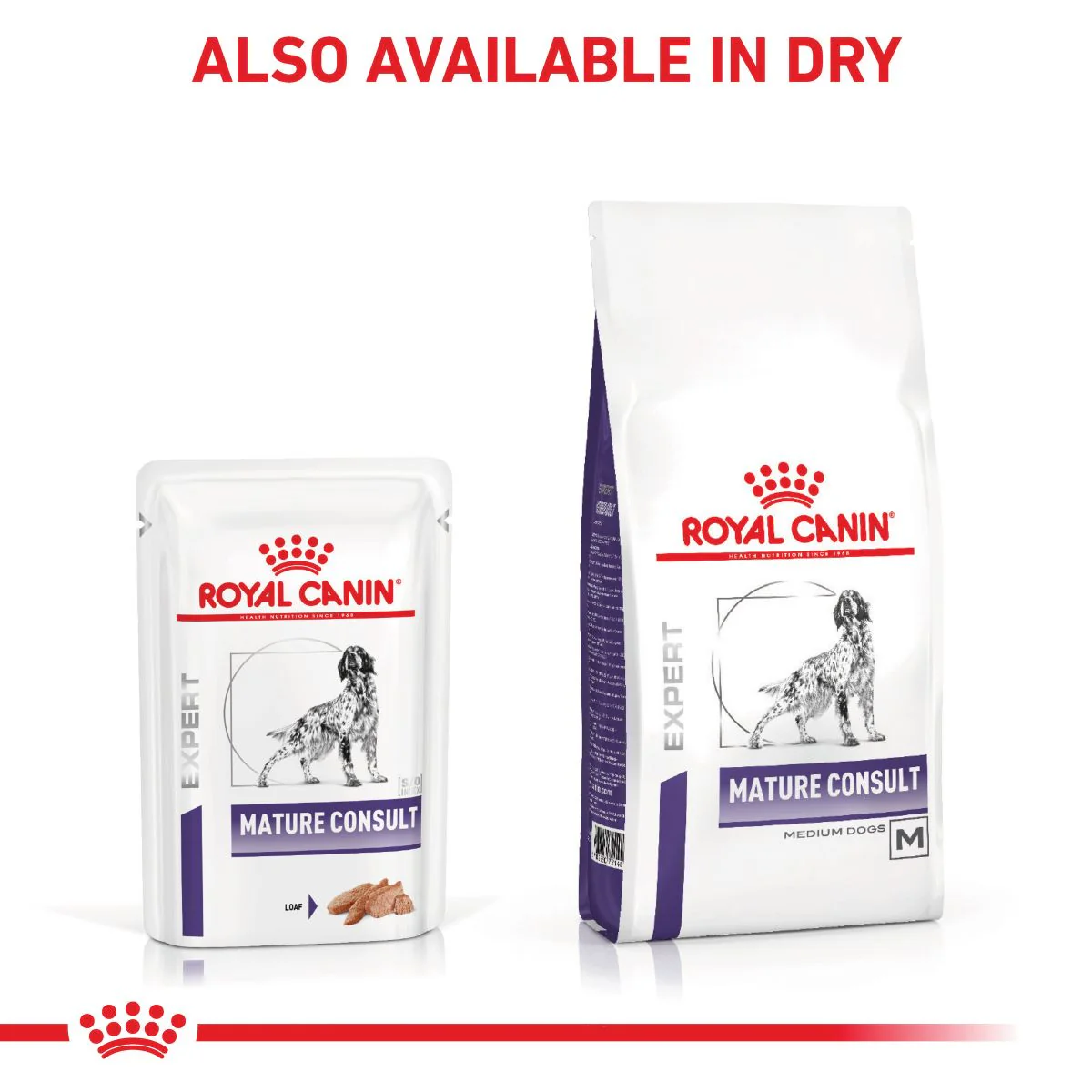 Royal Canin VET Mature Consult Loaf Wet Dog Food 85g - Image 19