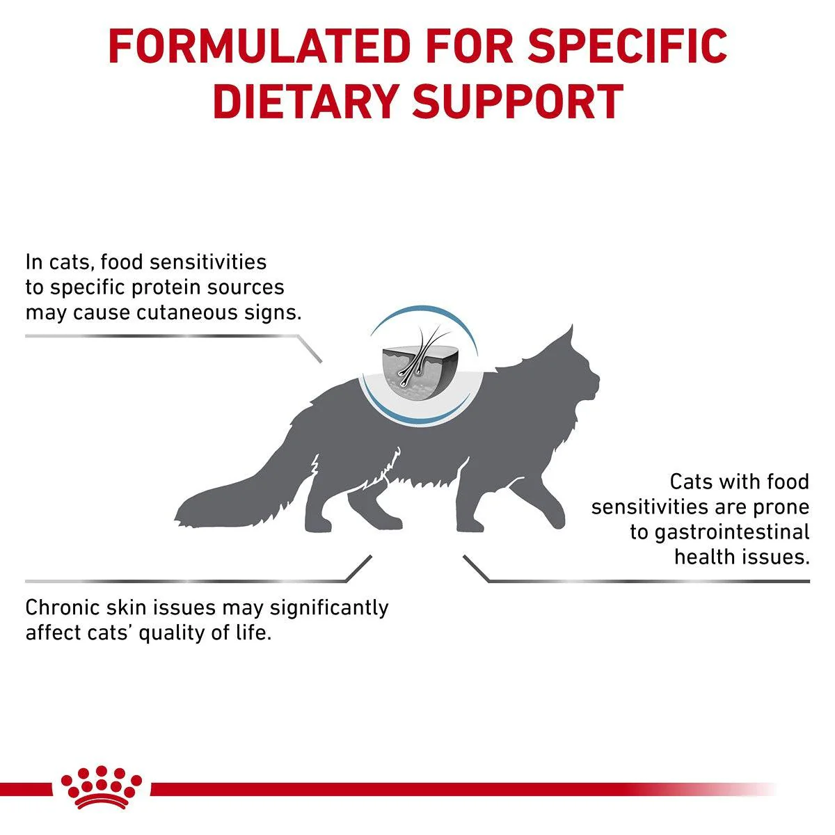 Royal Canin Veterinary Anallergenic Dry Cat Food - Image 13