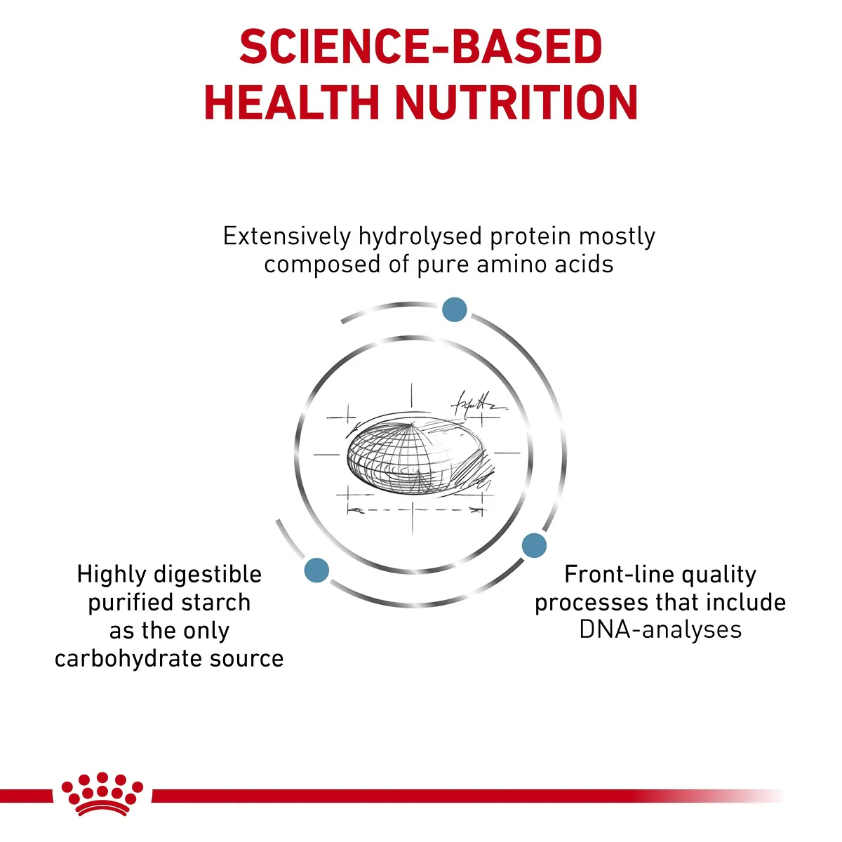 Royal Canin Veterinary Anallergenic Dry Cat Food - Image 2
