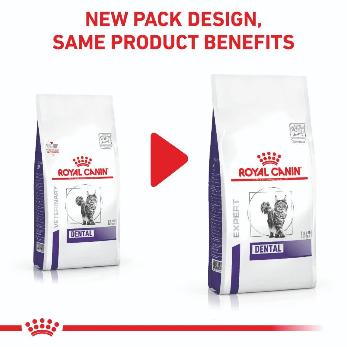 Royal Canin Veterinary Dental Dry Cat Food - Image 12