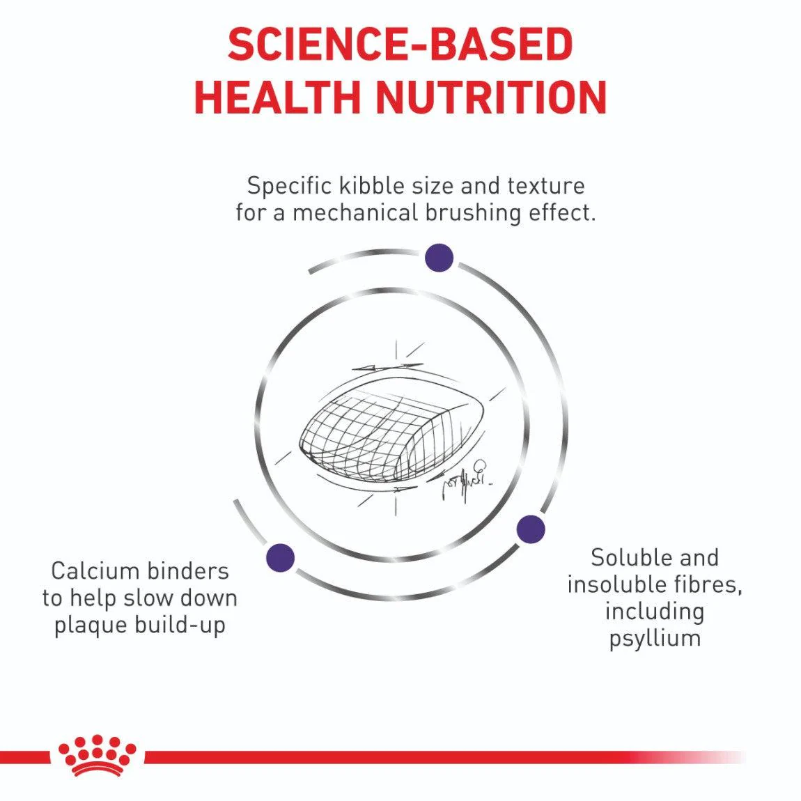 Royal Canin Veterinary Dental Dry Cat Food - Image 14