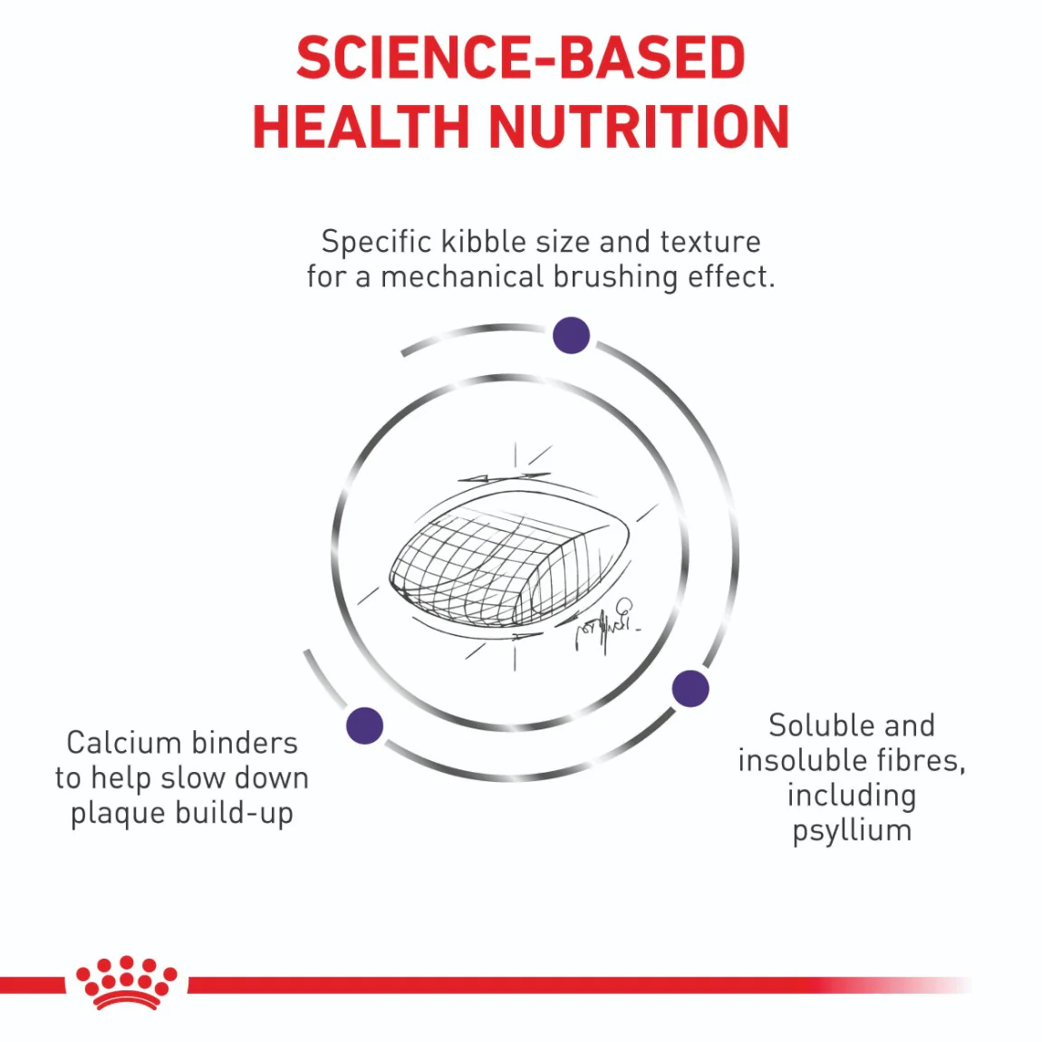 Royal Canin Veterinary Dental Dry Cat Food - Image 3