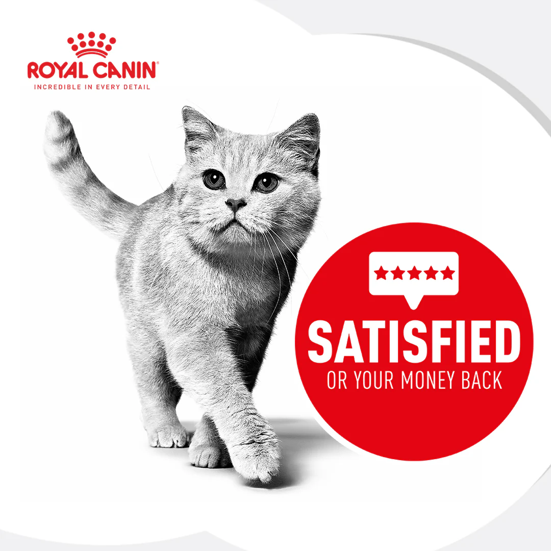 Royal Canin Veterinary Dental Dry Cat Food - Image 4