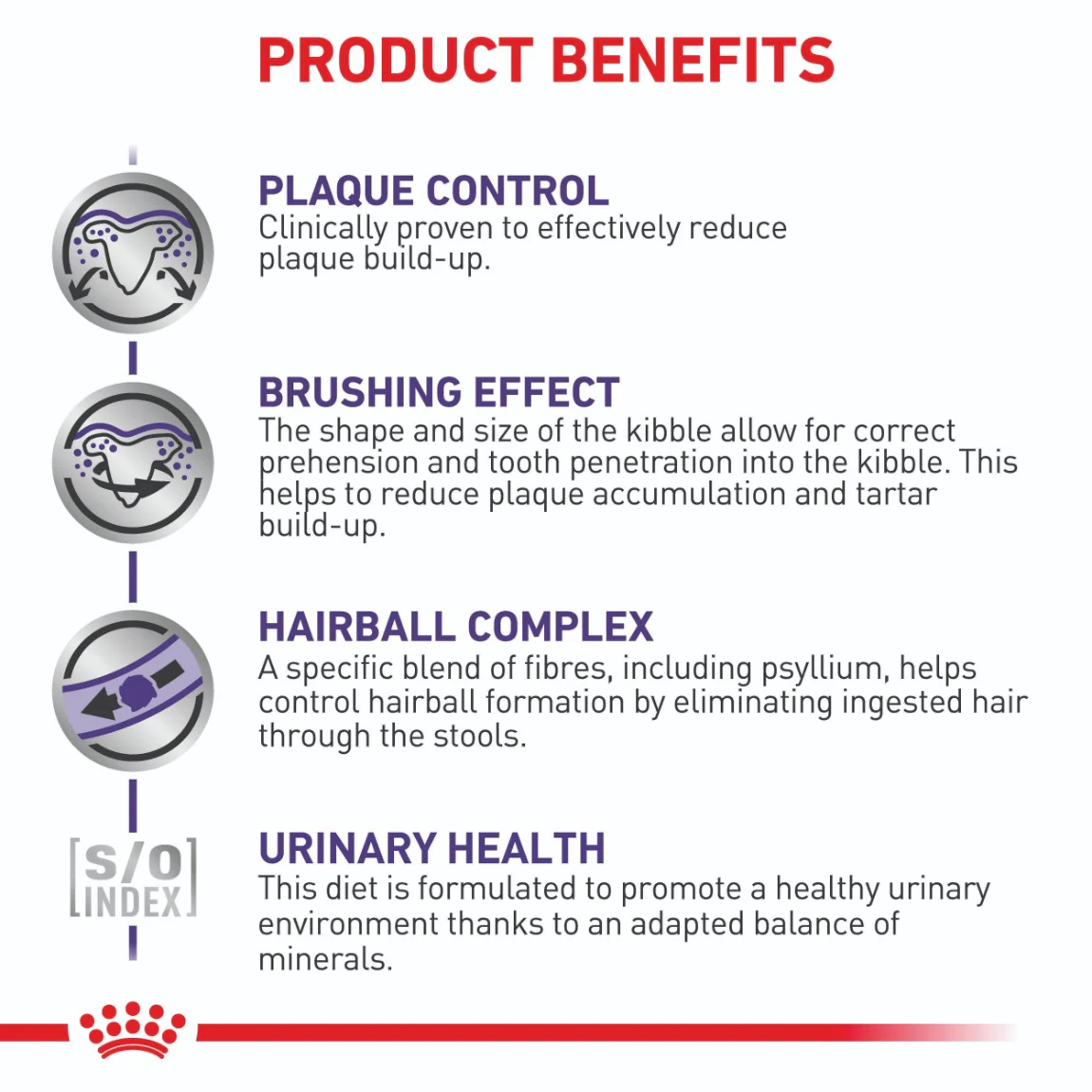 Royal Canin Veterinary Dental Dry Cat Food - Image 5