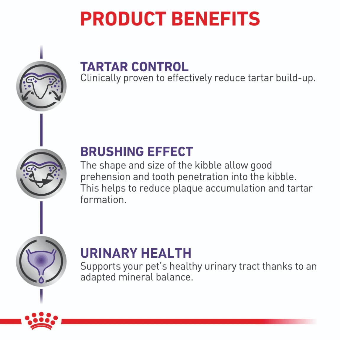 Royal Canin Expert Small Breed Dental Dry Dog Food - Image 5
