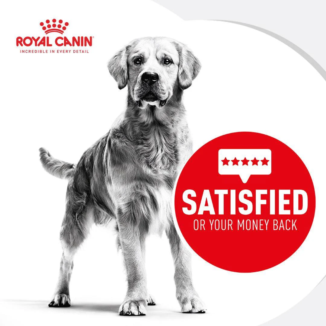 Royal Canin Veterinary Diabetic Dry Dog Food - Image 9