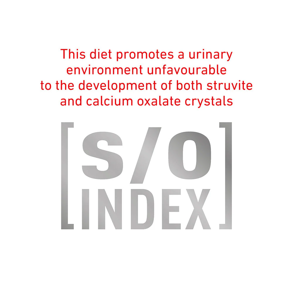 Royal Canin Veterinary Diabetic Special Low Carbohydrate Wet Dog Food - Image 7