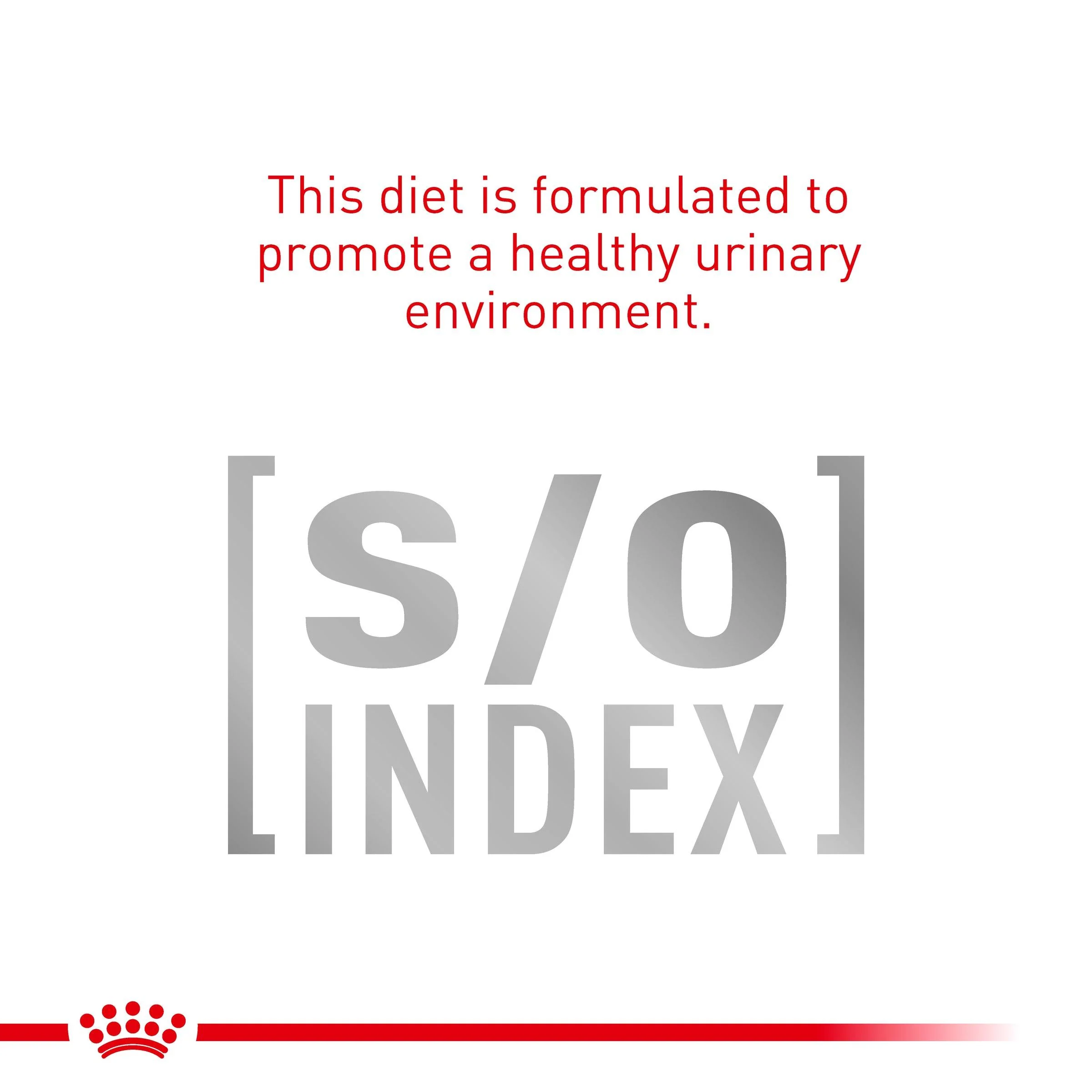 Royal Canin Veterinary Early Renal Dry Cat Food - Image 10