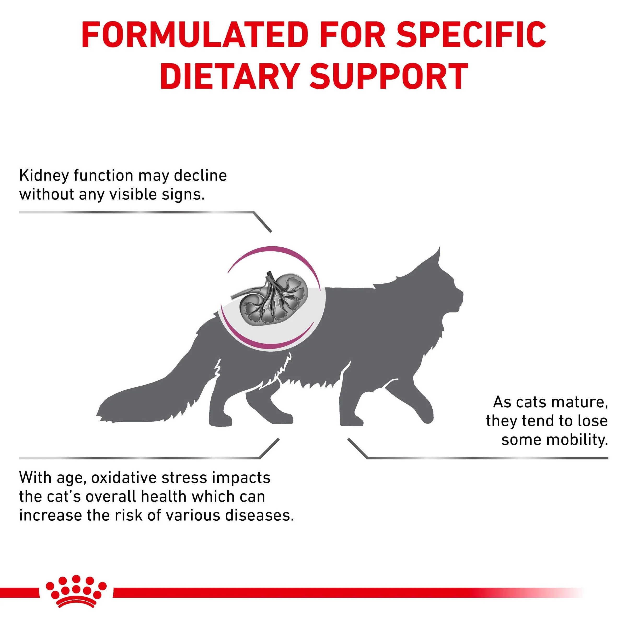 Royal Canin Veterinary Early Renal Dry Cat Food - Image 3