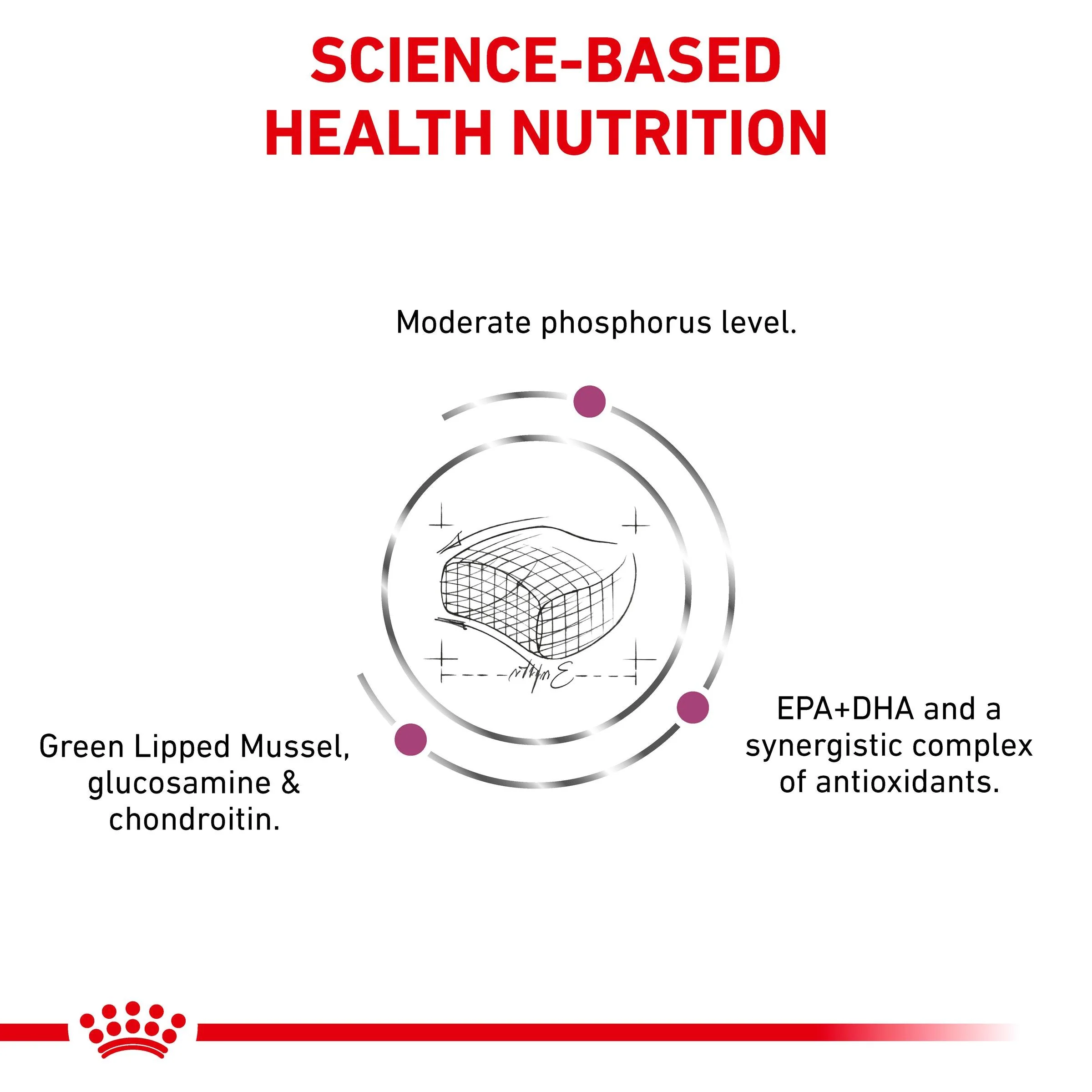 Royal Canin Veterinary Early Renal Dry Cat Food - Image 6