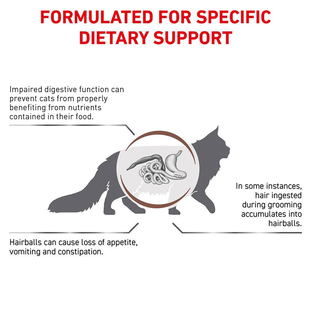 Royal Canin Veterinary Gastrointestinal Care & Hairball Control Dry Cat Food - Image 11