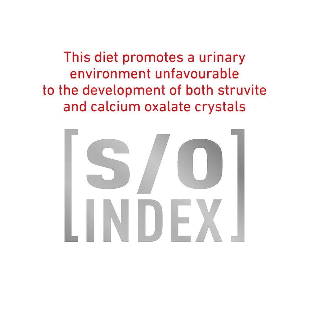 Royal Canin Veterinary Gastrointestinal Care & Hairball Control Dry Cat Food - Image 19